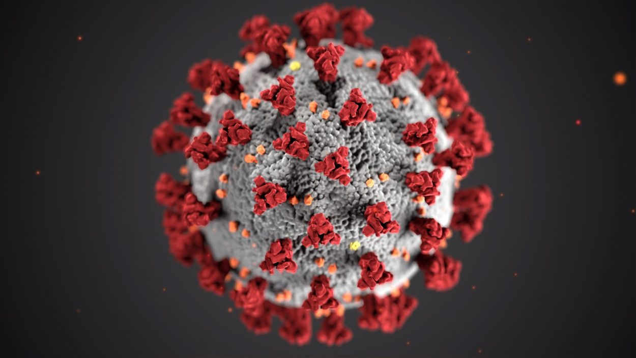 coronavirus-2 Coronavirus