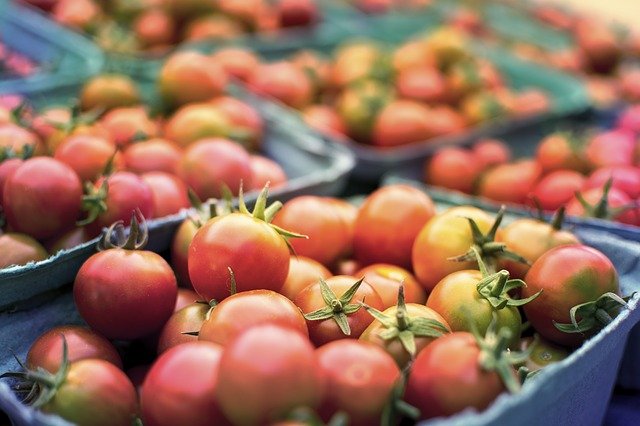 Tomates en barquettes courses