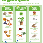 Les déchets de cuisine comme les restes de repas, les aliments périmés, les épluchures, les coquilles, les os, les marcs de café ou les sachets de thé vont dans les déchets organiques. Cela vaut de même pour les petits déchets de jardin comme de l’herbe, les plantes d’appartement, les fleurs fanées ou autres déchets végétaux du jardin. Les autres déchets du type de cartons de surgelés souillés, des essuie-tout, des nappes, des mouchoirs en papier, des cartons alimentaires souillés, des bâtons de glace, des litières biodégradables ou des cendres froides de bois non traité.