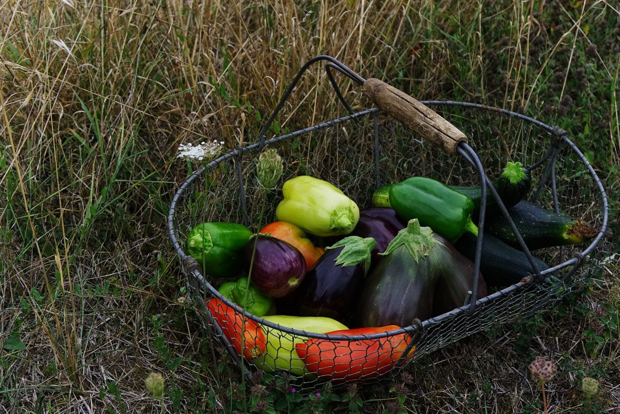 Légumes potagers panier