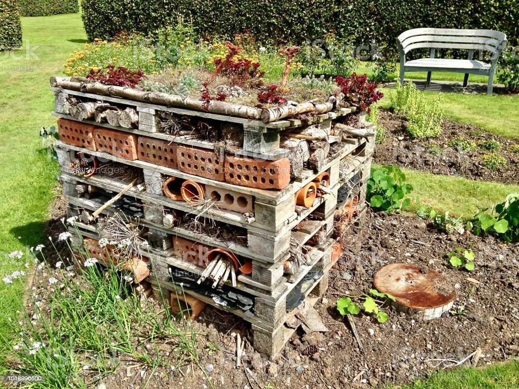 Comment construire un hôtel à insectes ? - Terre Vivante