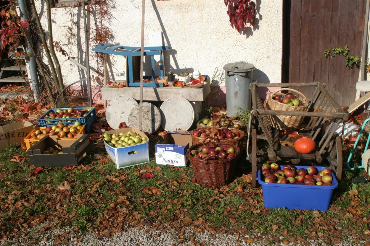 Pommes poires vergers