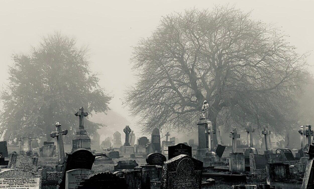 cimetière (pixabay) cimetière (pixabay)