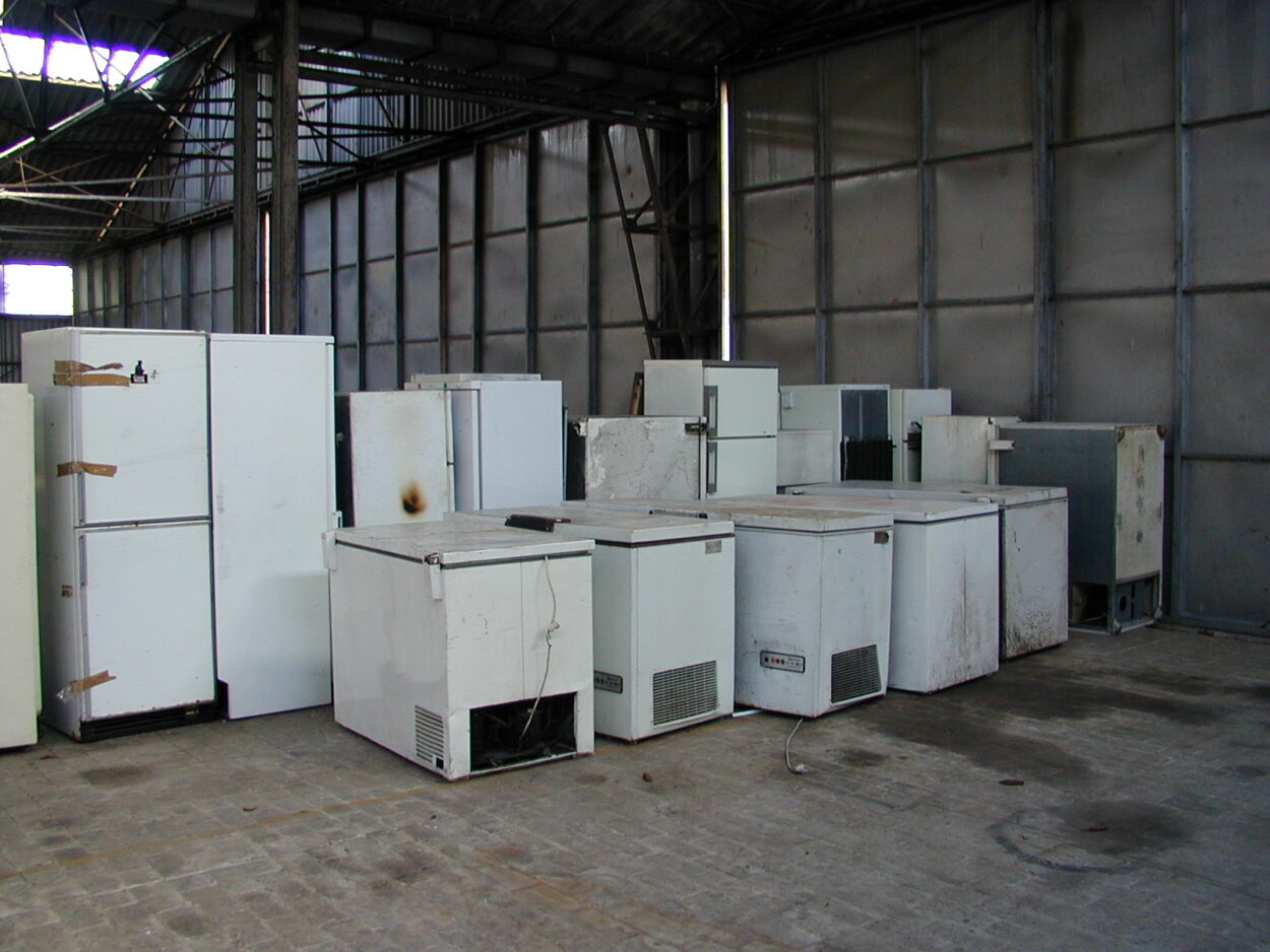 gros blancs 1.JPG.JPG gros blancs 1.JPG.JPG